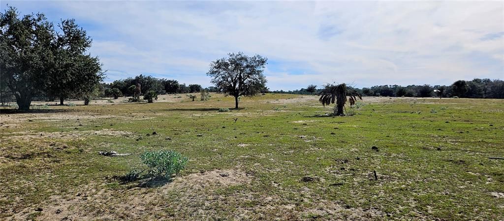 For Sale: $134,700 (5.00 acres)