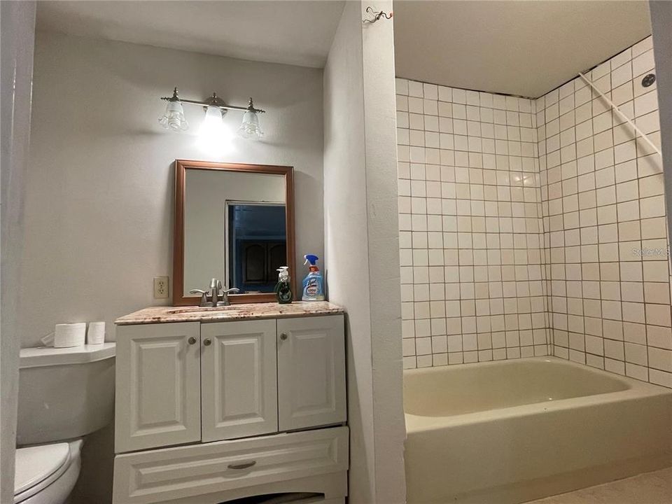 In-Law apartment Bathroom