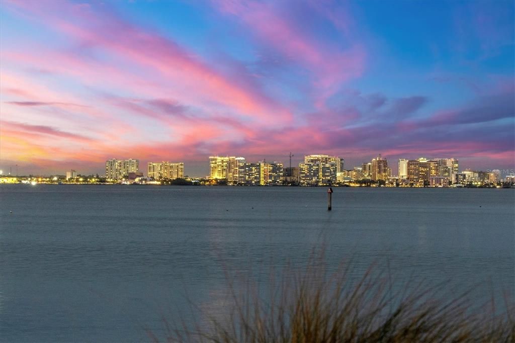 BACKYARD VIEW OPEN WATER  & CITY LIGHTS