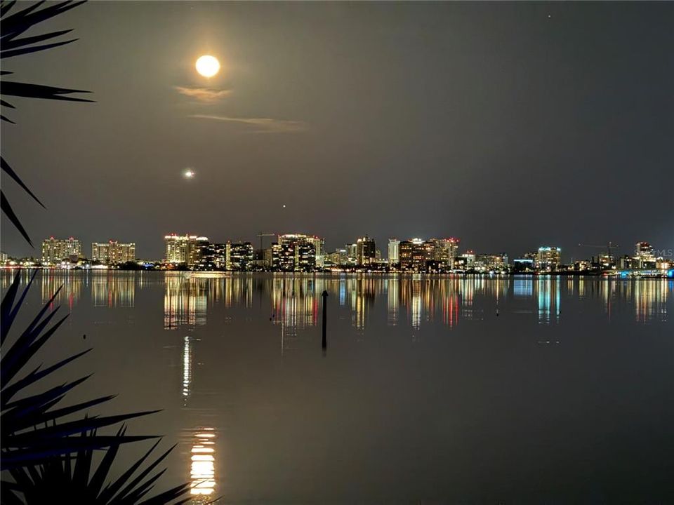 View from back porch, the city a glow from across the Bay.