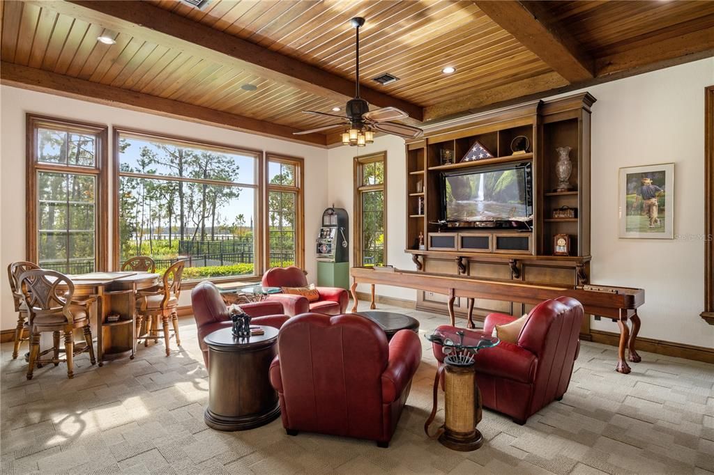 Game Room with a view and gorgeous inside and out!