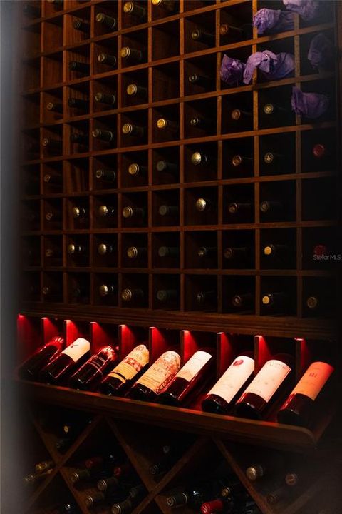 Custom built by the owner for personal wine collection is a "work of art"!