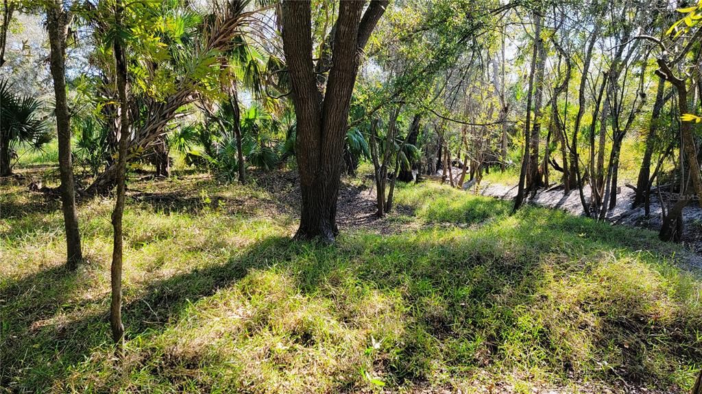 Vendido Recientemente: $650,000 (27.29 acres)