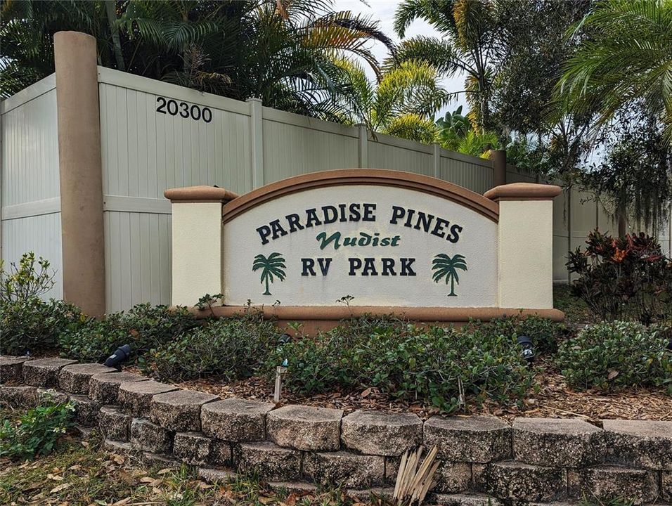 Welcome to Paradise Pines