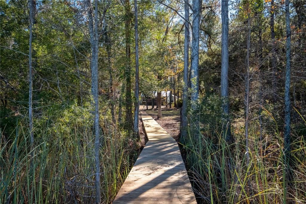 Walkway back to the home