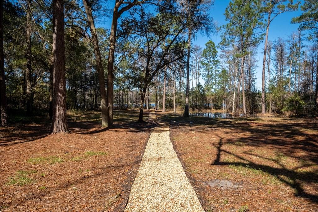 Walkway to the lake