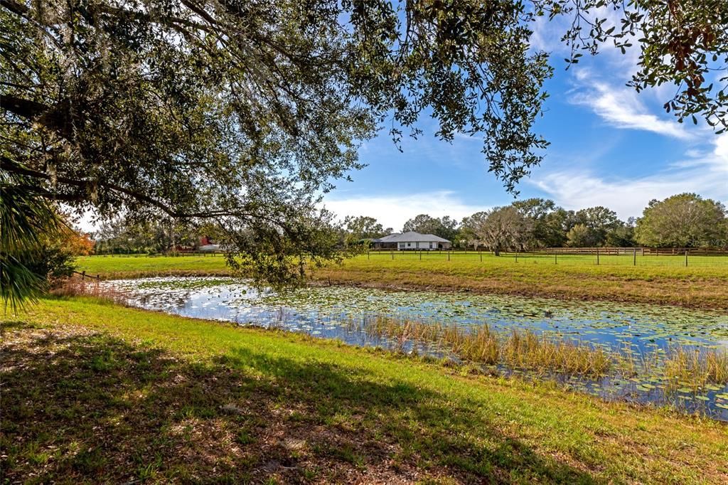 South pond