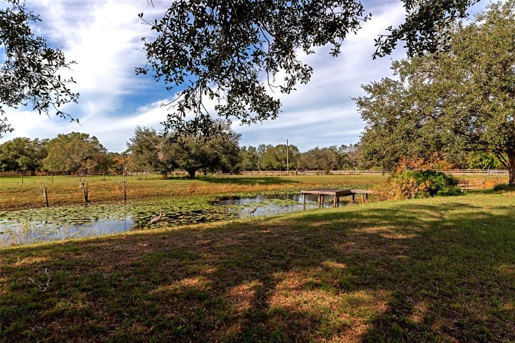 South pond