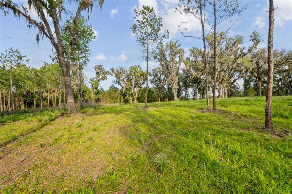 For Sale: $450,000 (10.36 acres)