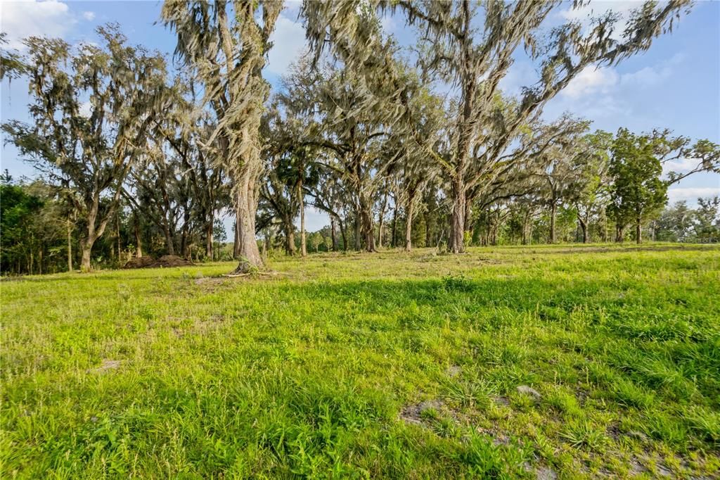 For Sale: $450,000 (10.36 acres)