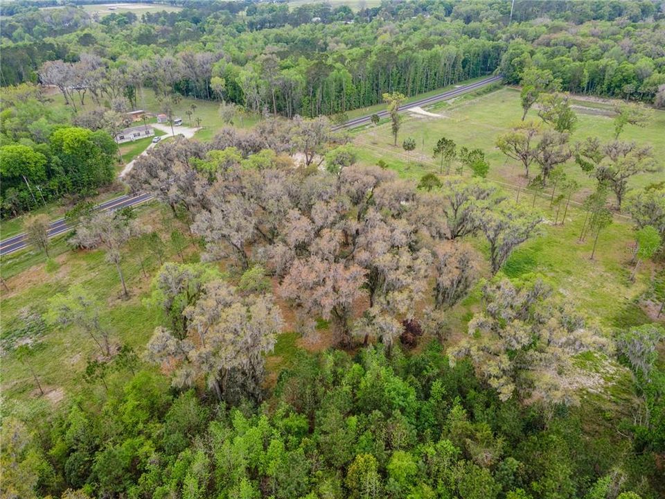 For Sale: $395,000 (10.36 acres)
