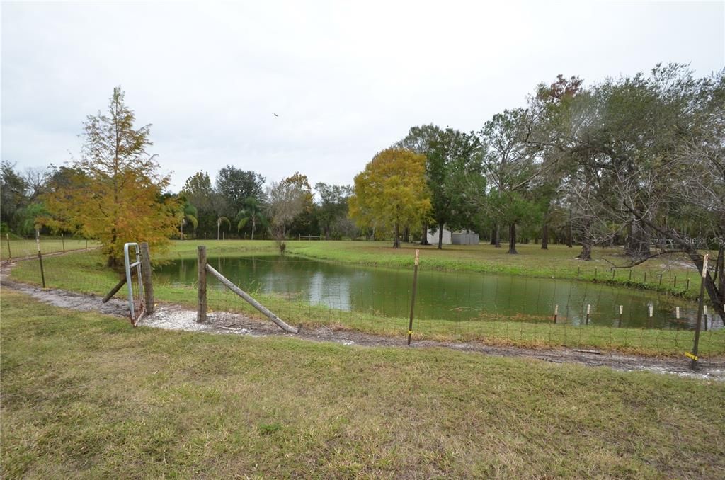 Fenced dog run