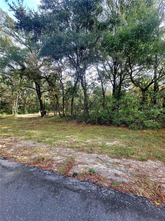 For Sale: $17,500 (0.23 acres)