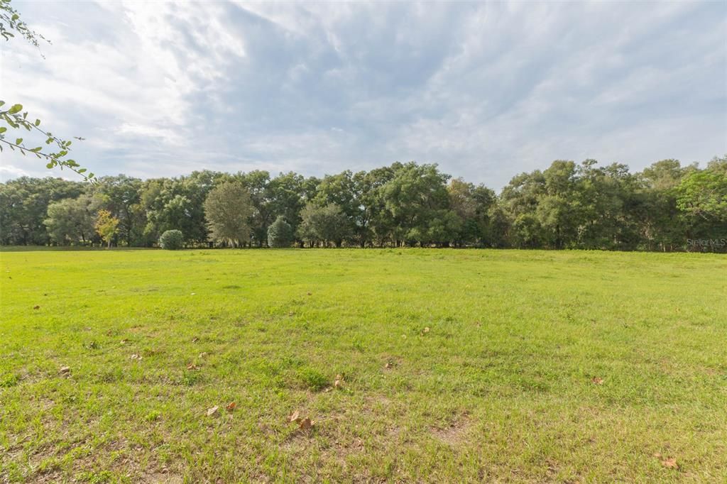 Active With Contract: $155,000 (1.04 acres)