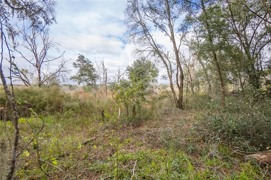 Vendido Recientemente: $55,000 (0.70 acres)