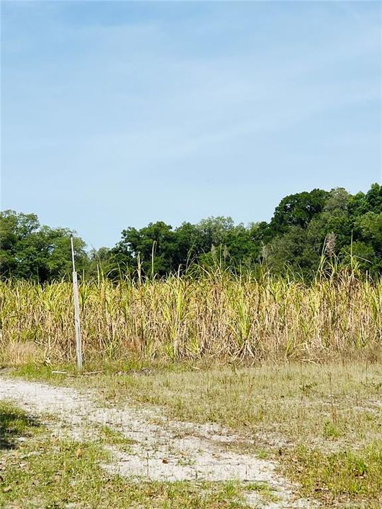 Active With Contract: $215,000 (6.30 acres)