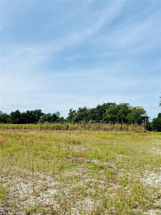 Active With Contract: $215,000 (6.30 acres)