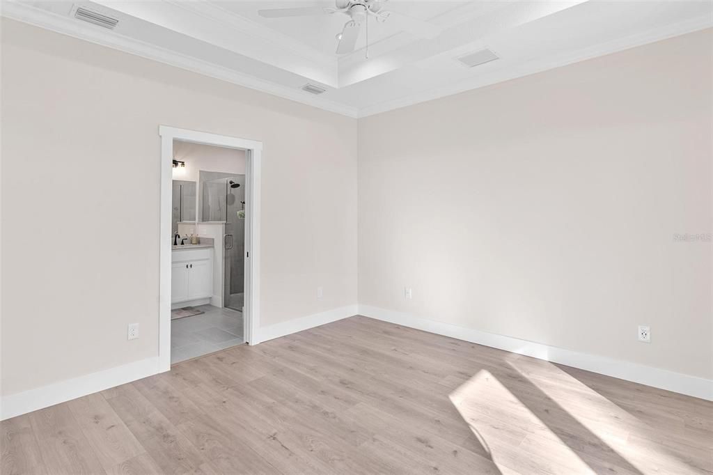 Primary Bedroom with Tray Ceilings