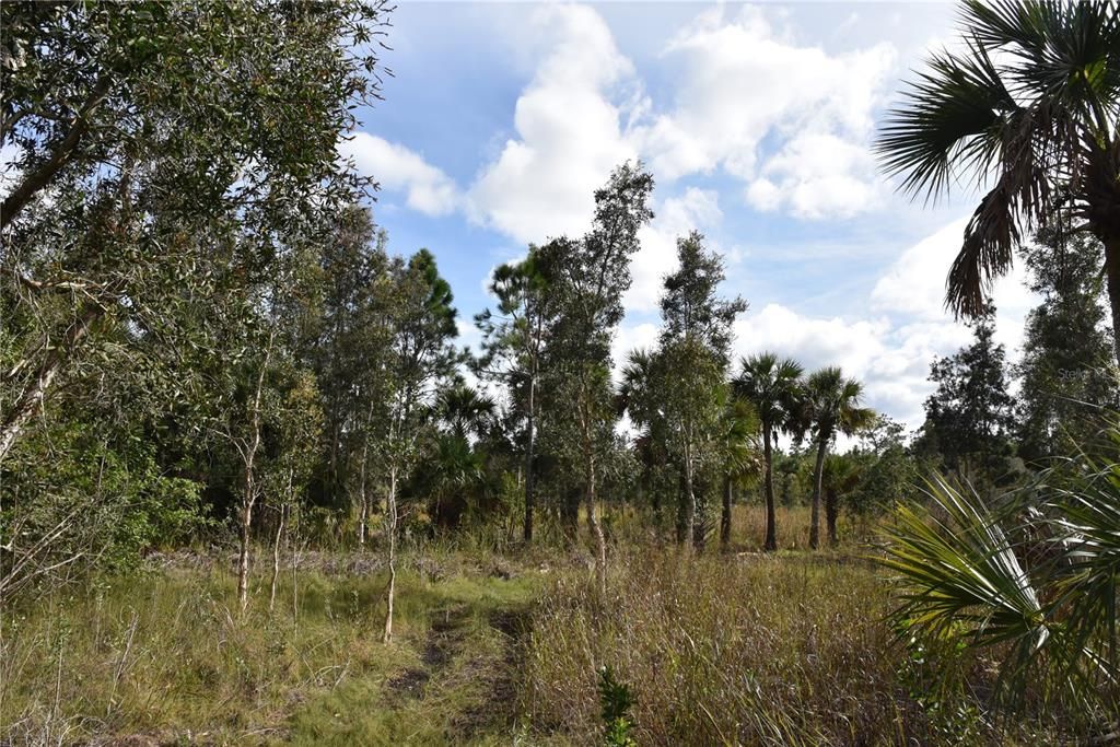 Recently Sold: $149,900 (12.14 acres)