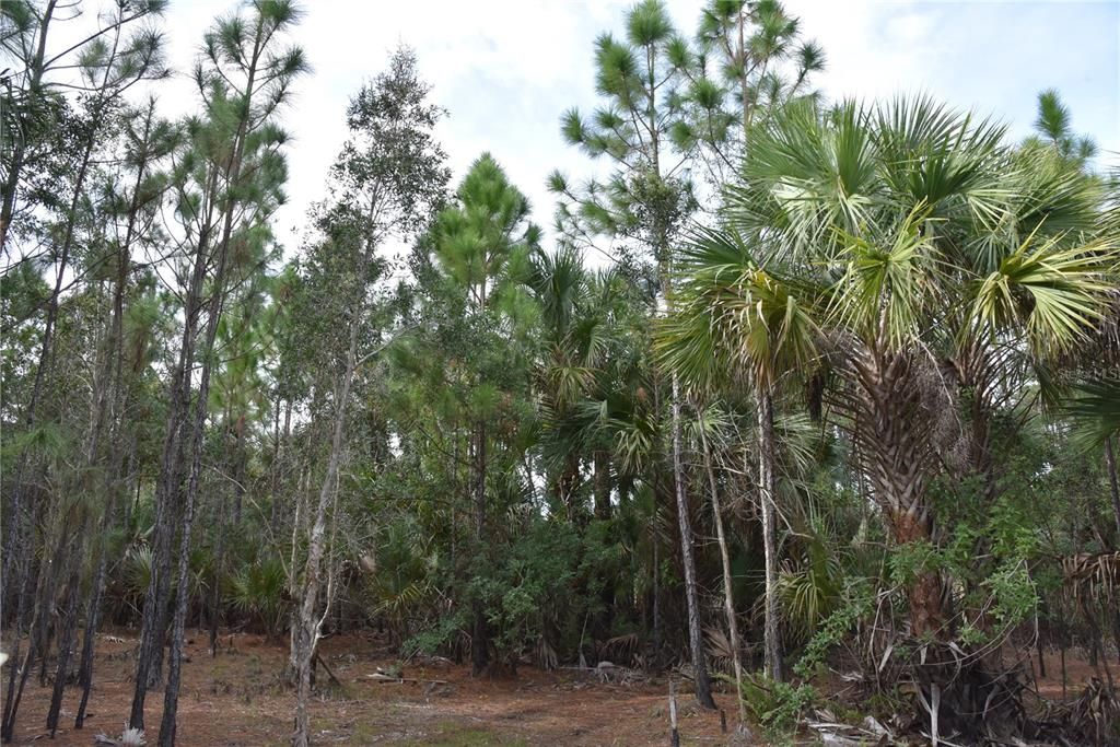 Vendido Recientemente: $149,900 (12.14 acres)