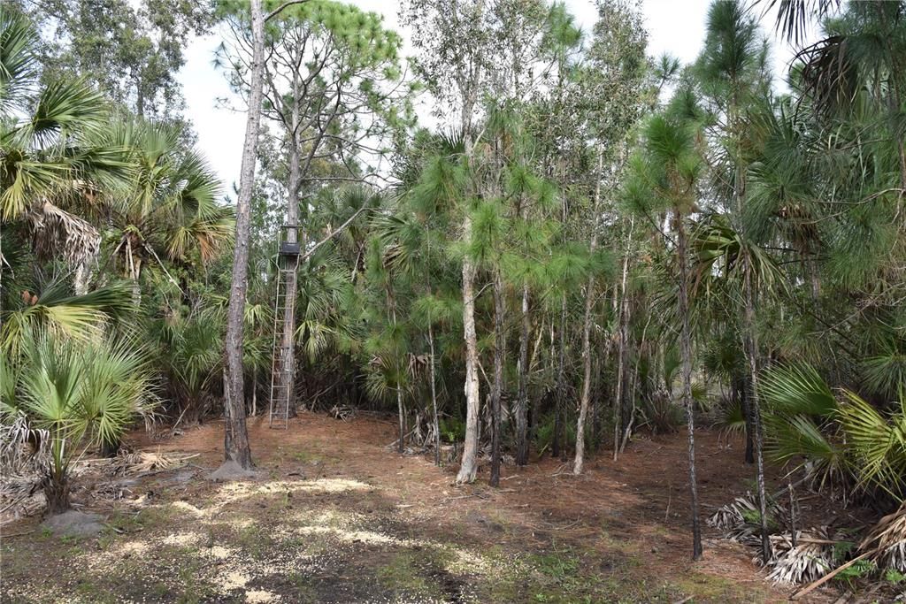 Vendido Recientemente: $149,900 (12.14 acres)