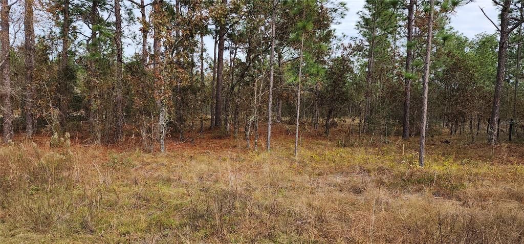 Active With Contract: $26,900 (1.00 acres)