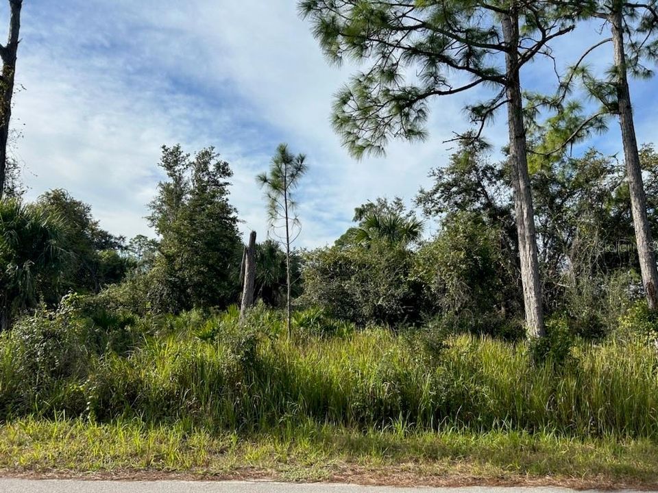 最近售出: $35,000 (0.23 acres)