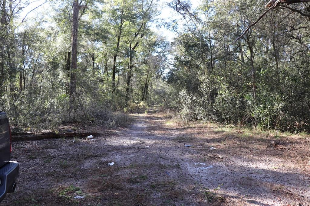 For Sale: $13,000 (0.31 acres)