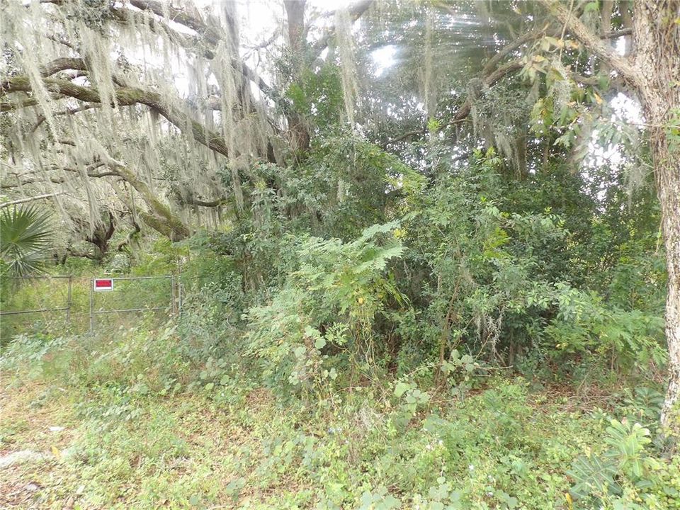 Active With Contract: $230,000 (1.14 acres)