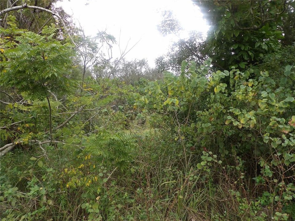 Active With Contract: $230,000 (1.14 acres)