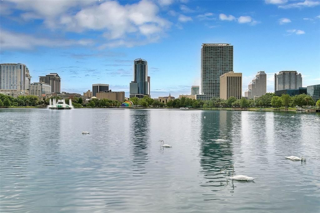 Downtown Orlando skyline from Lake Eola.  Won't you be our neighbor!