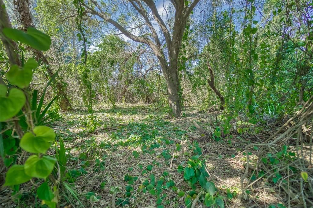 For Sale: $120,000 (0.03 acres)