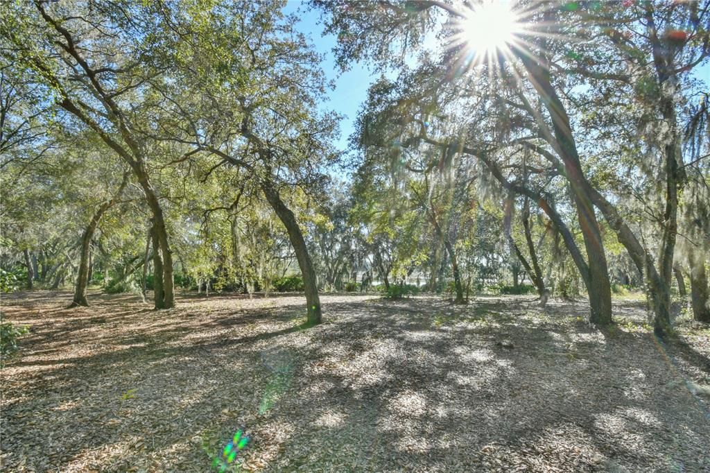 For Sale: $179,000 (4.30 acres)