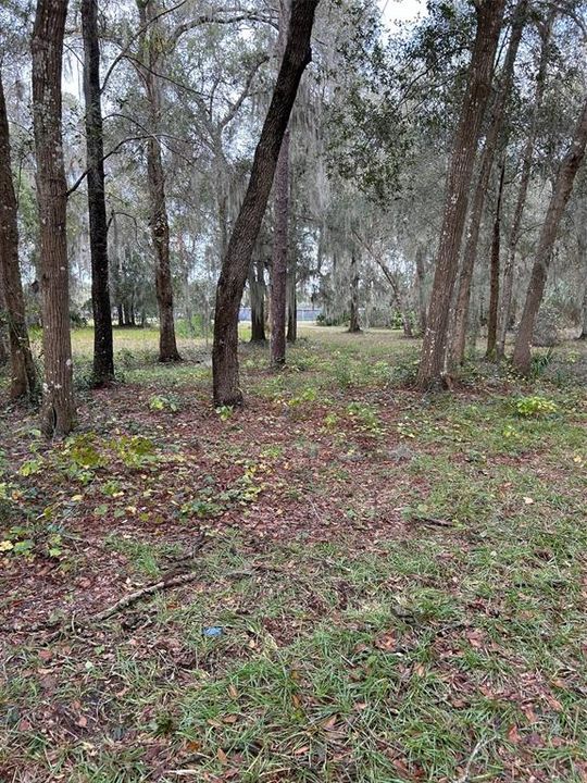 Recently Sold: $75,000 (3.28 acres)