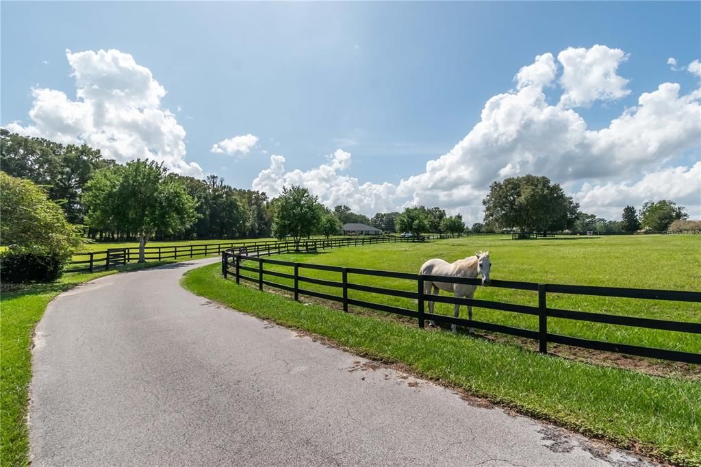 For Sale: $1,485,000 (4 beds, 3 baths, 2688 Square Feet)