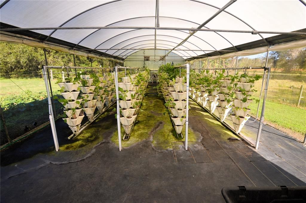 4 rows of hydroponic grow pots