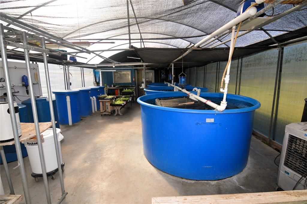 (4) 1,000 gallon aquaponic rearing tanks