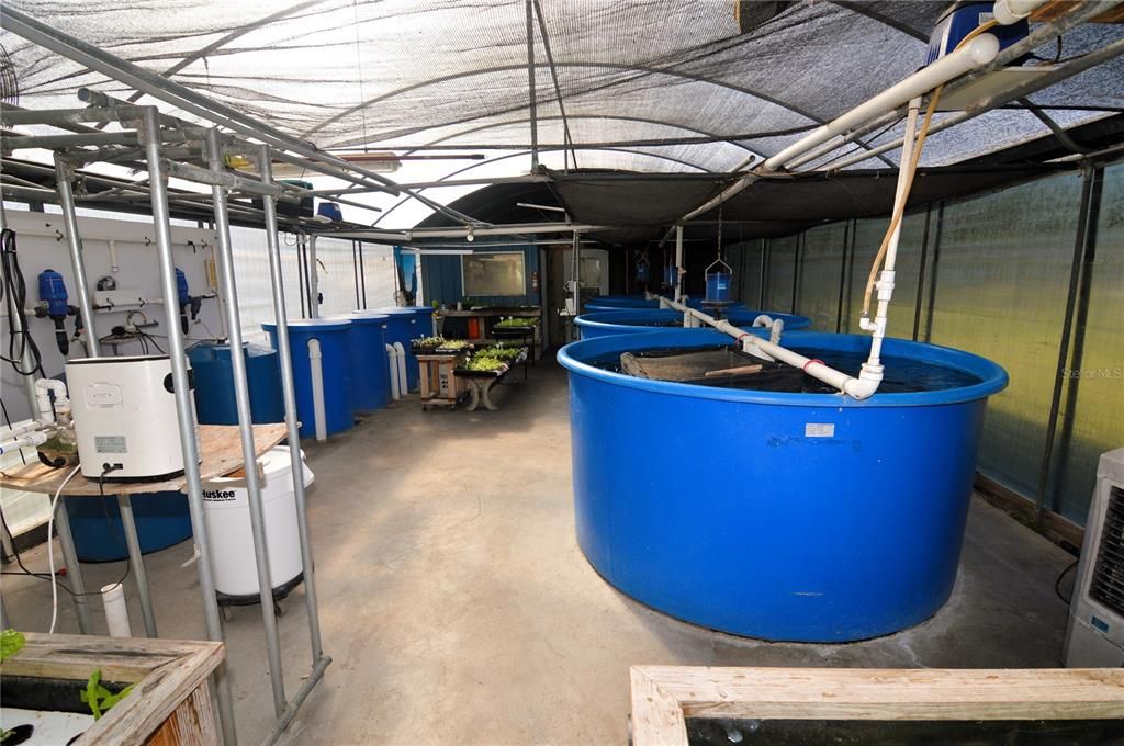 (4) 1,000 gallon aquaponic rearing tanks