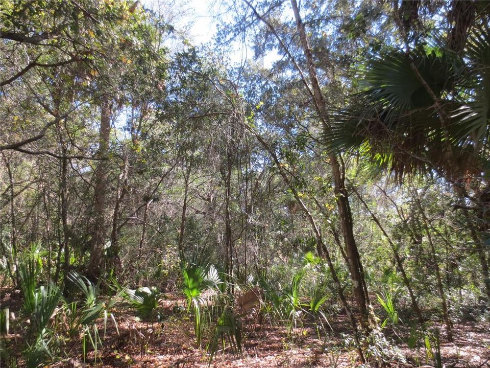Recently Sold: $13,250 (0.36 acres)