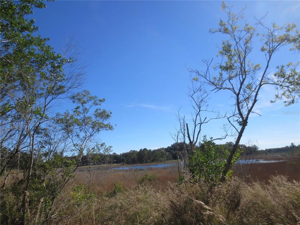 Recently Sold: $13,250 (0.36 acres)