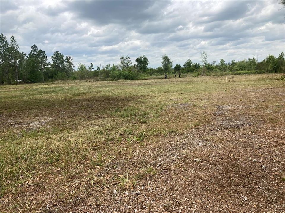 Недавно продано: $70,000 (1.25 acres)