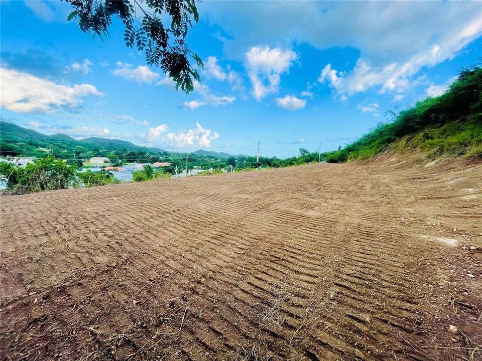 Recently Sold: $59,900 (0.56 acres)