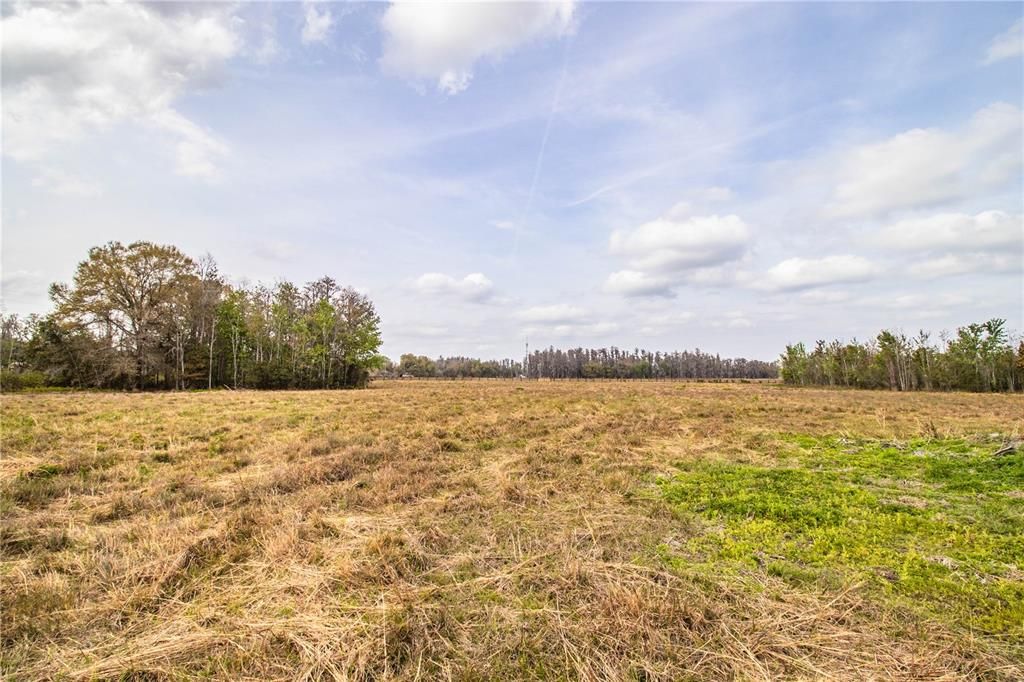 For Sale: $325,000 (5.95 acres)