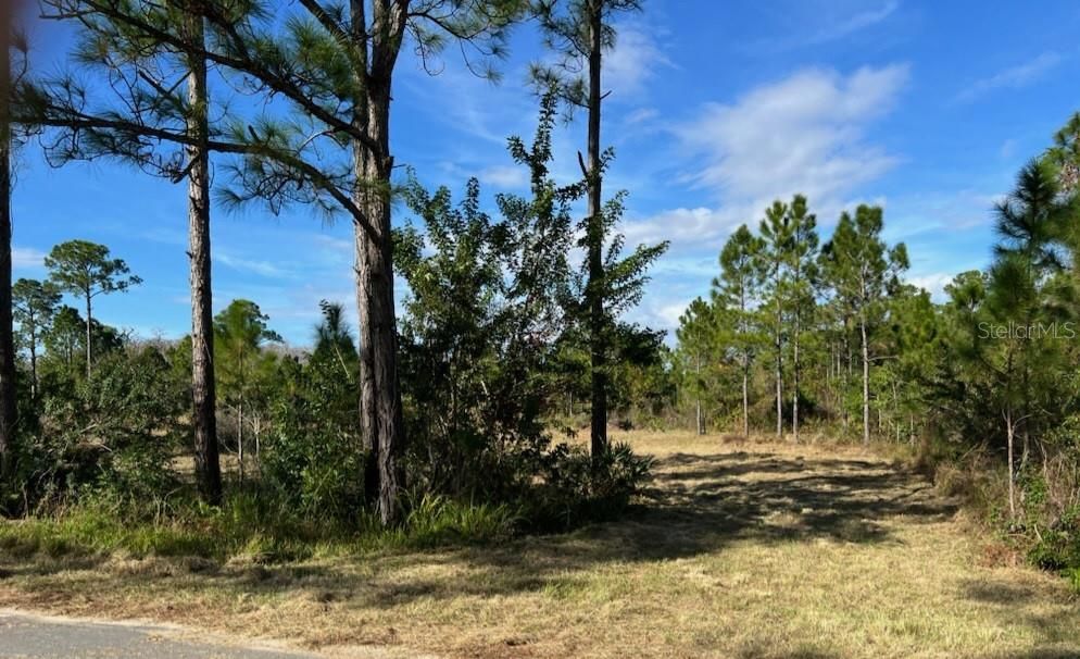 Recently Sold: $185,000 (5.00 acres)