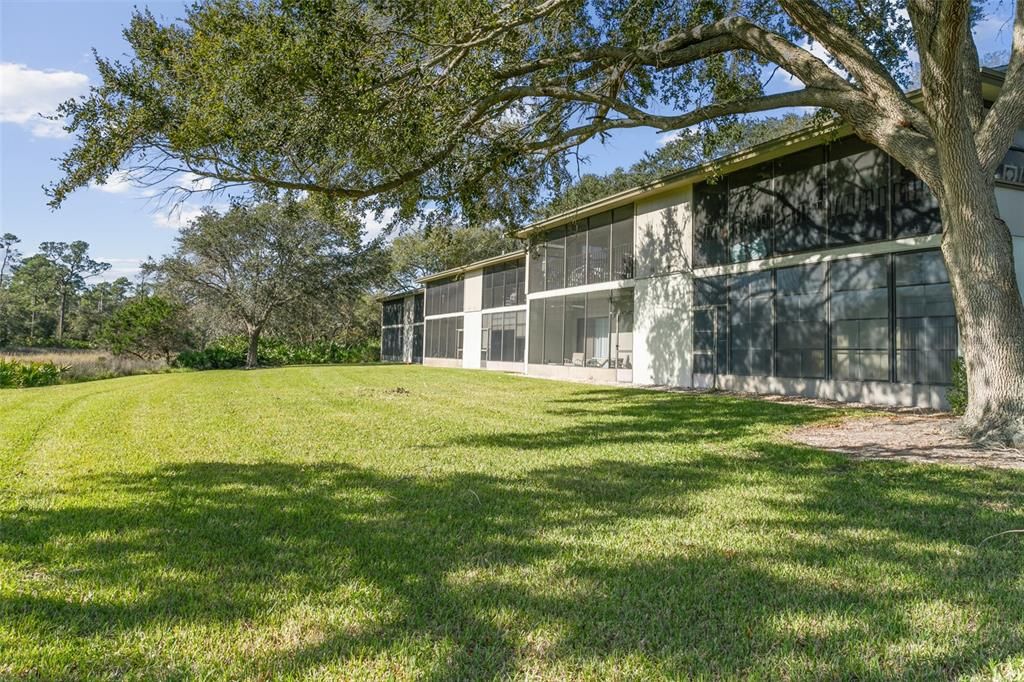 Building From Back Yard