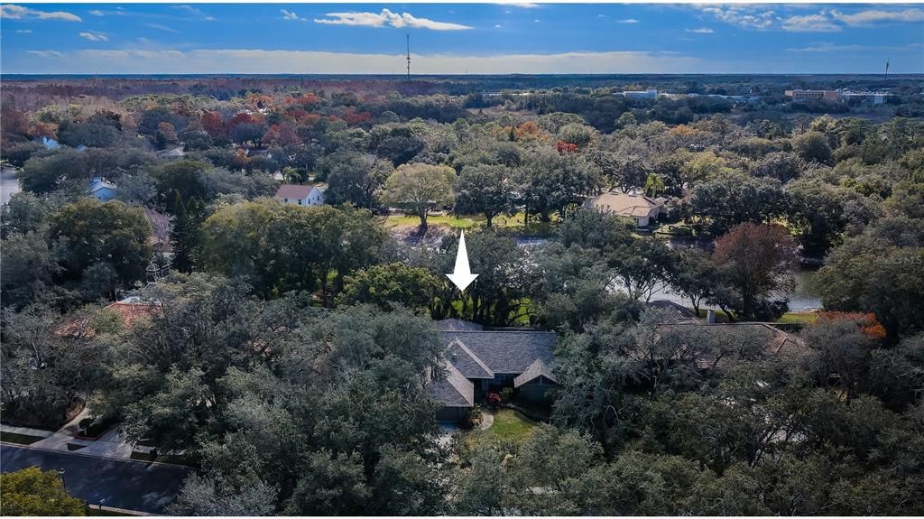 Aerial view of residence and mature Oak trees.