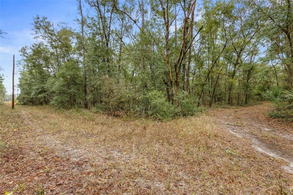 For Sale: $125,000 (10.00 acres)