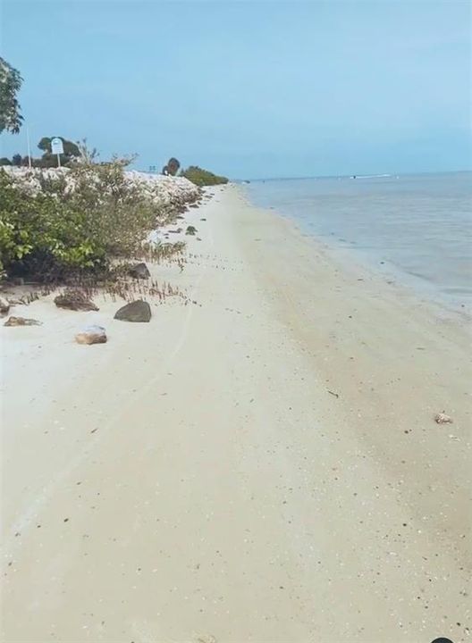 Public secret beach is mnts away - just off the Courtney Campbell Causeway : bring your jetski and play in the water!