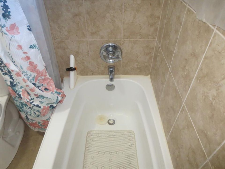 Guest tub and shower