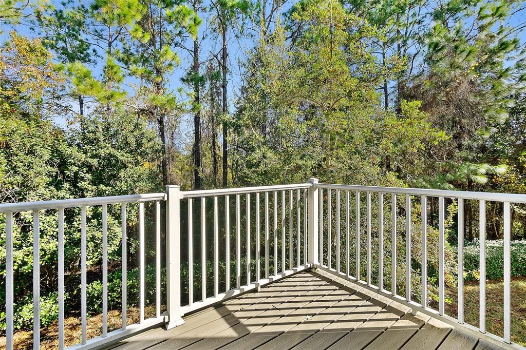 Spacious 12x6 balcony. Great for entertaining. Rear frontage overlooking preserve area and in the distance notice the slight view of  Top Golf cages.
